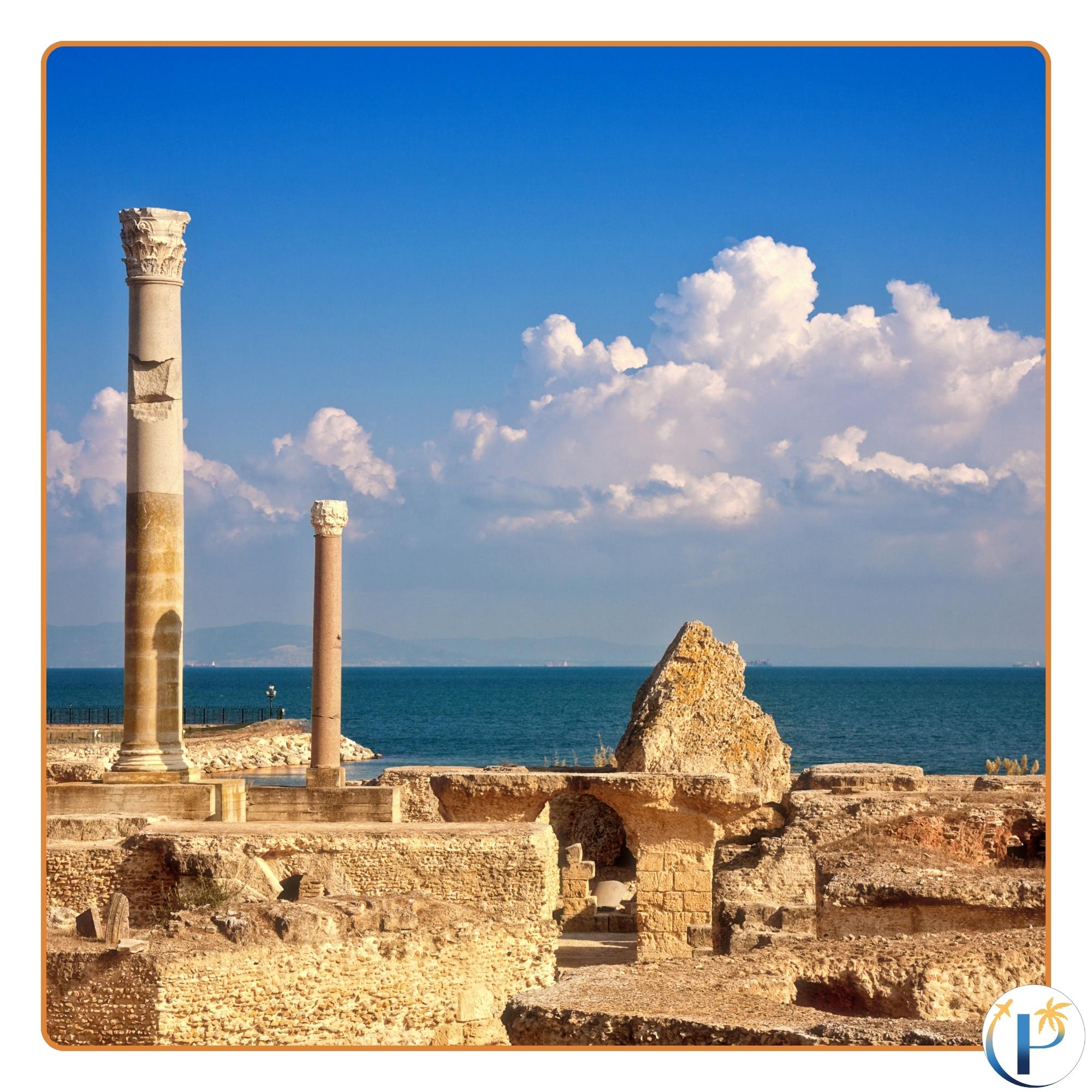 Les Parcoureurs VolubilisCarthage