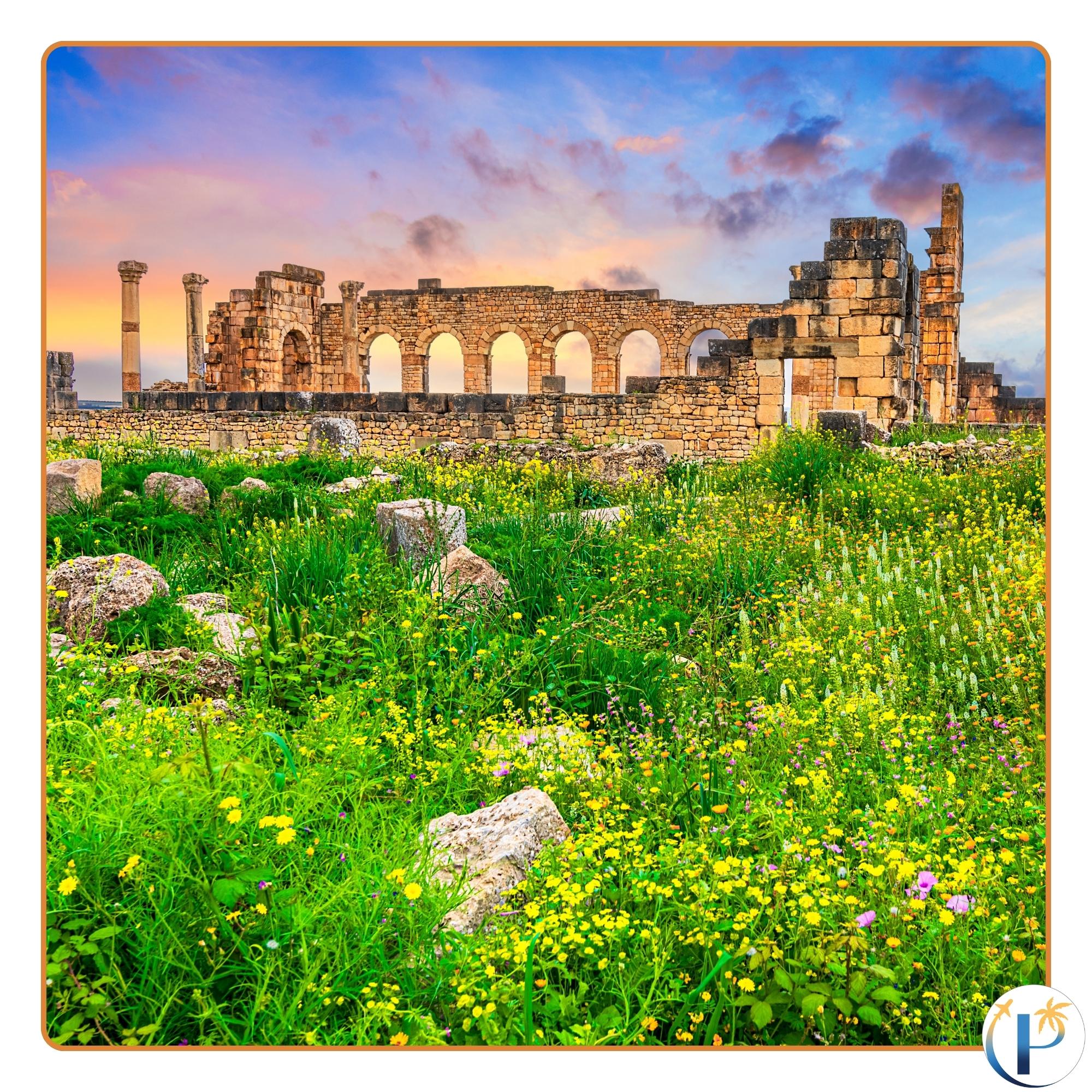 Les Parcoureurs Volubilis